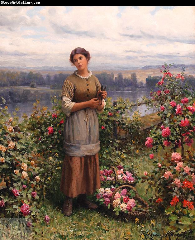 Daniel Ridgeway Knight Julia Gathering Roses